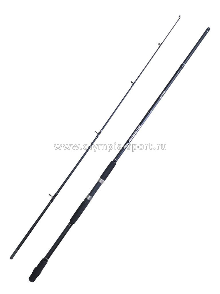 Спиннинг AWEES Blazer 80 20-80г 2,7м